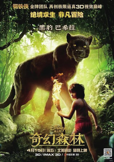 没有高中毕业证能考幼师资格证吗